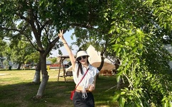 秋葵草莓茄子香蕉绿巨人